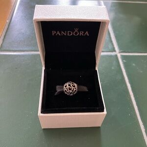 Pandora bracelet charm
